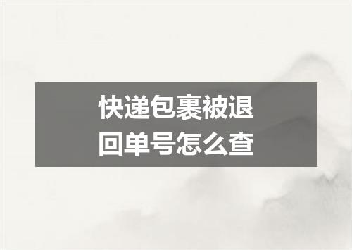 快递包裹被退回单号怎么查