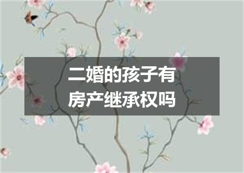 二婚的孩子有房产继承权吗