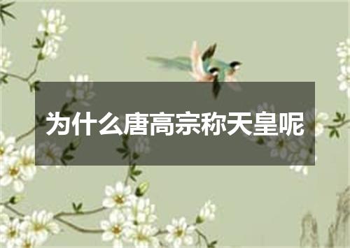 为什么唐高宗称天皇呢