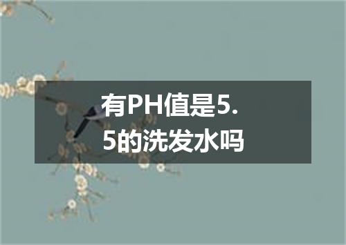 有PH值是5.5的洗发水吗