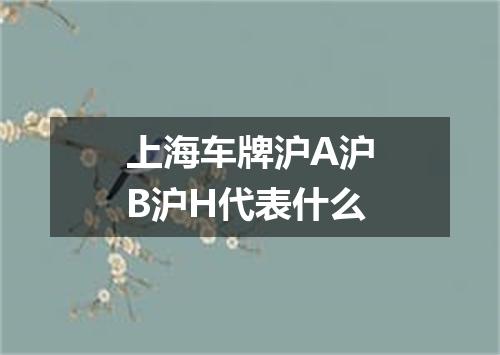 上海车牌沪A沪B沪H代表什么