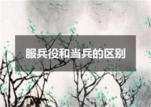 服兵役和当兵的区别
