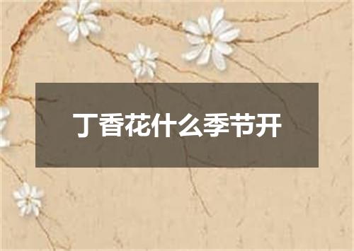 丁香花什么季节开