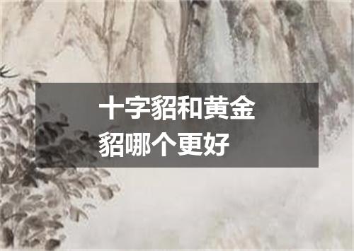 十字貂和黄金貂哪个更好