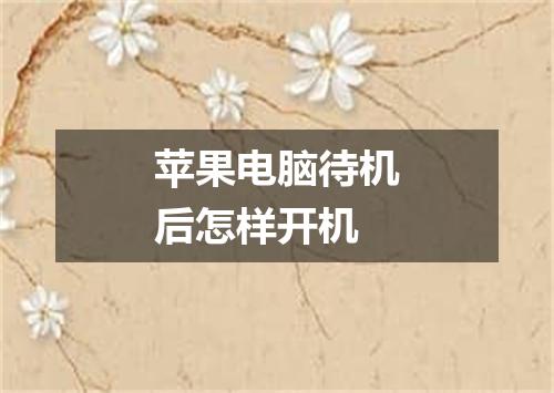 苹果电脑待机后怎样开机