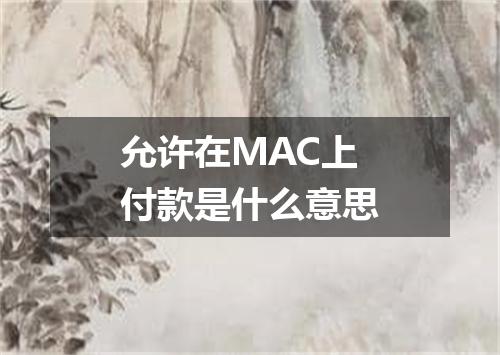 允许在MAC上付款是什么意思