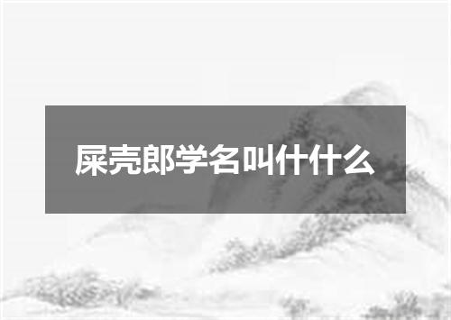 屎壳郎学名叫什什么