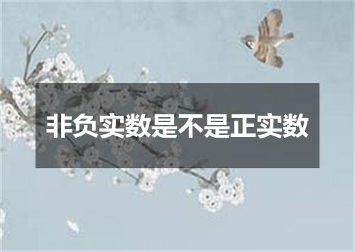 非负实数是不是正实数