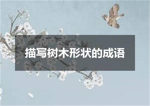 描写树木形状的成语