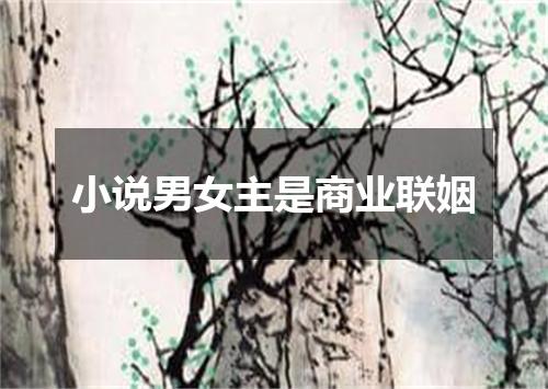 小说男女主是商业联姻