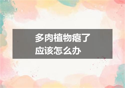 多肉植物瘪了应该怎么办