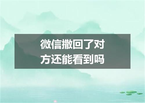 微信撒回了对方还能看到吗