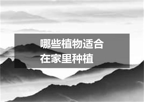 哪些植物适合在家里种植