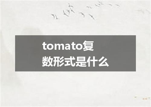 tomato复数形式是什么