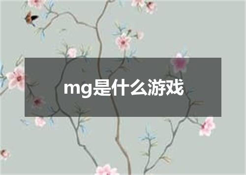mg是什么游戏