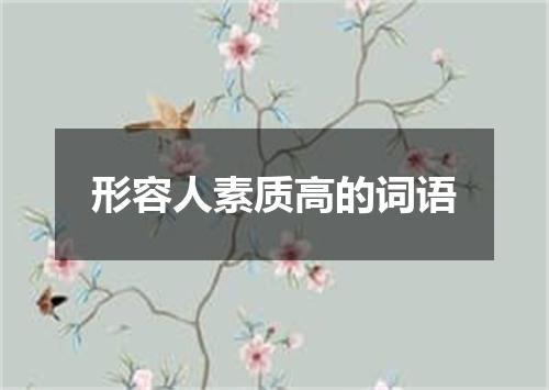 形容人素质高的词语