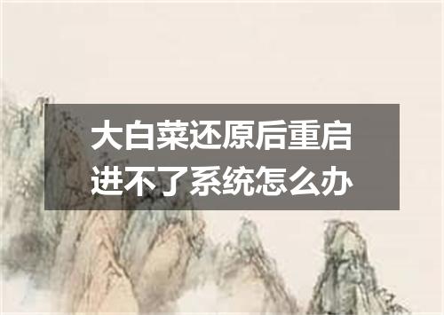 大白菜还原后重启进不了系统怎么办