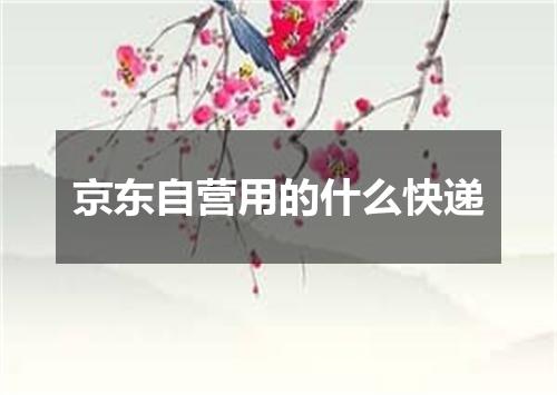 京东自营用的什么快递