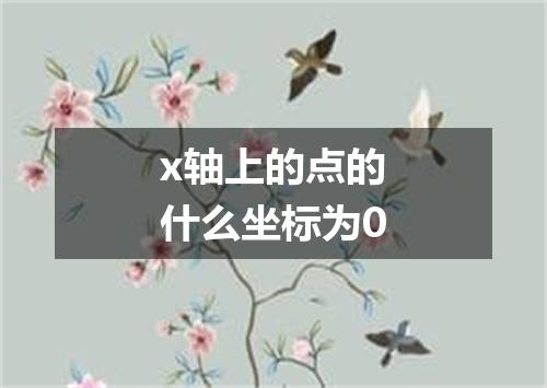 x轴上的点的什么坐标为0