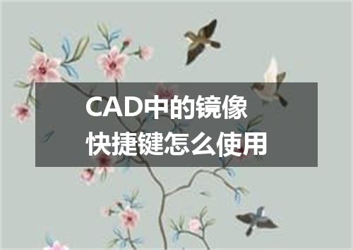 CAD中的镜像快捷键怎么使用