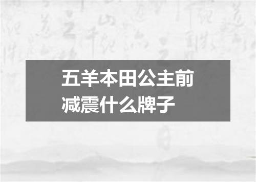 五羊本田公主前减震什么牌子