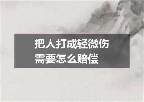 把人打成轻微伤需要怎么赔偿