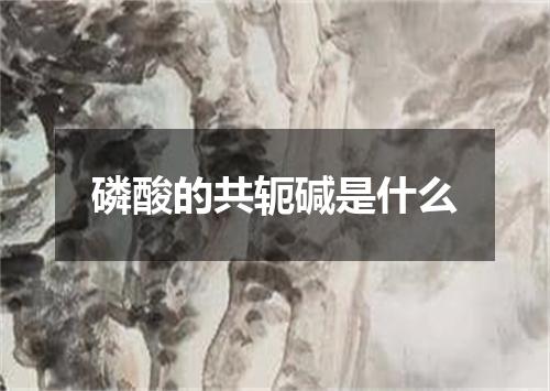 磷酸的共轭碱是什么