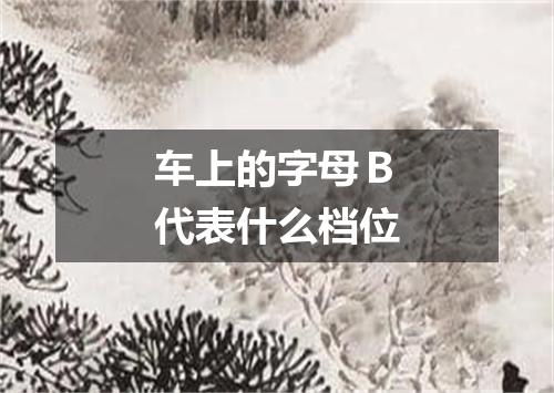 车上的字母Ｂ代表什么档位