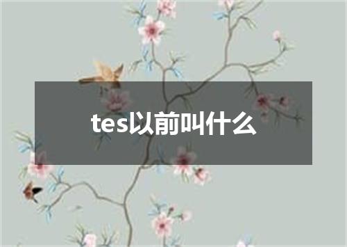 tes以前叫什么