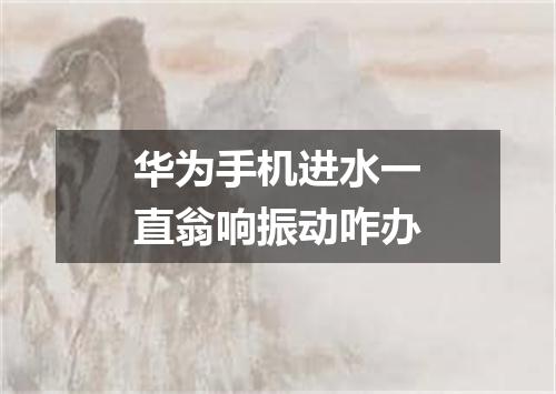 华为手机进水一直翁响振动咋办