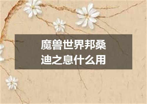 魔兽世界邦桑迪之息什么用