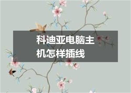 科迪亚电脑主机怎样插线