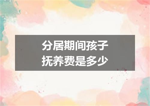 分居期间孩子抚养费是多少