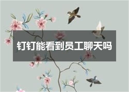 钉钉能看到员工聊天吗