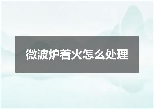 微波炉着火怎么处理