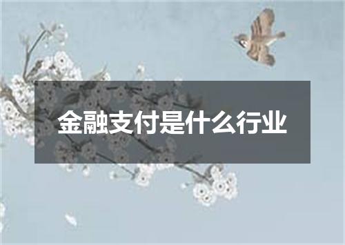 金融支付是什么行业