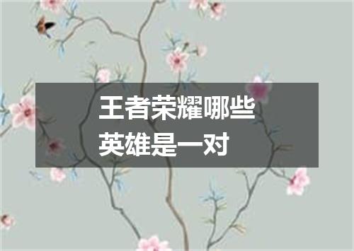 王者荣耀哪些英雄是一对