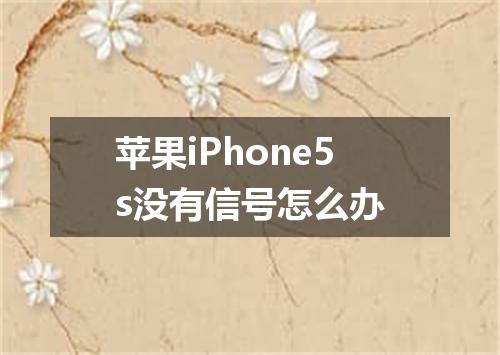 苹果iPhone5s没有信号怎么办