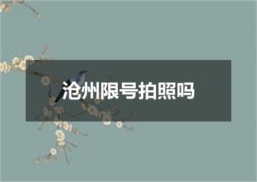 沧州限号拍照吗