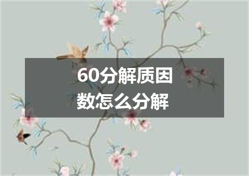 60分解质因数怎么分解