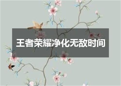 王者荣耀净化无敌时间
