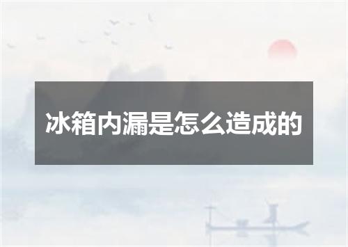 冰箱内漏是怎么造成的