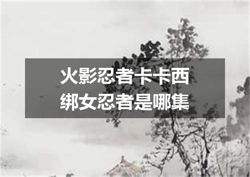 火影忍者卡卡西绑女忍者是哪集