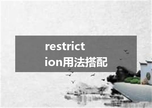 restriction用法搭配