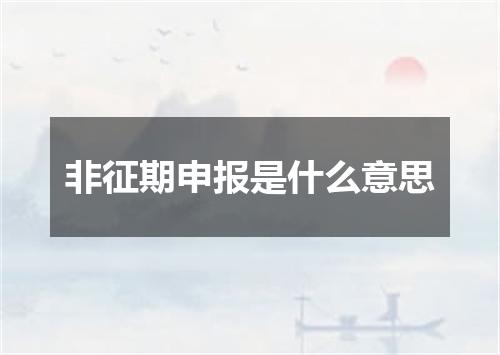 非征期申报是什么意思