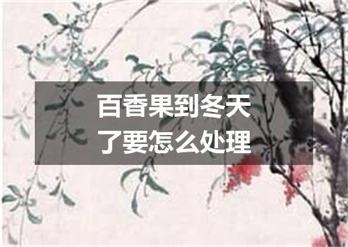 百香果到冬天了要怎么处理