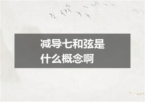 减导七和弦是什么概念啊