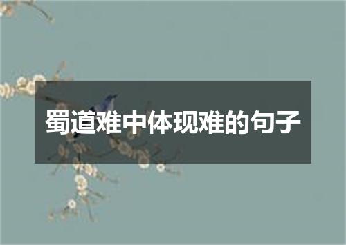 蜀道难中体现难的句子