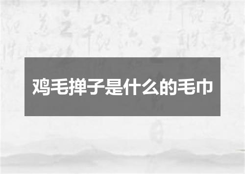 鸡毛掸子是什么的毛巾