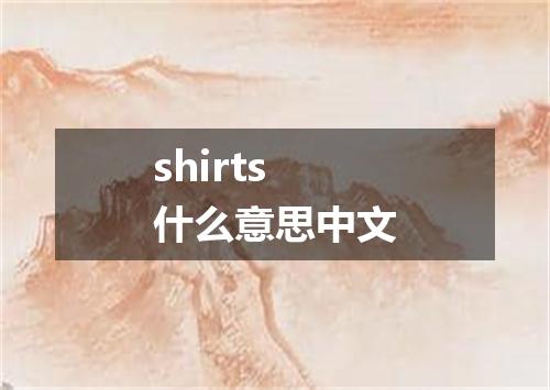 shirts什么意思中文